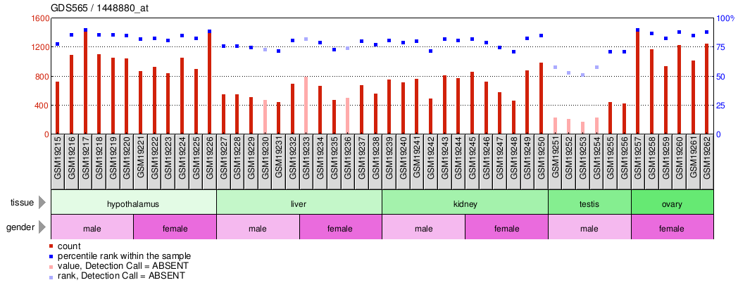 Gene Expression Profile