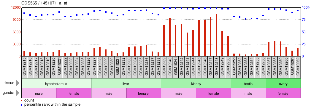 Gene Expression Profile