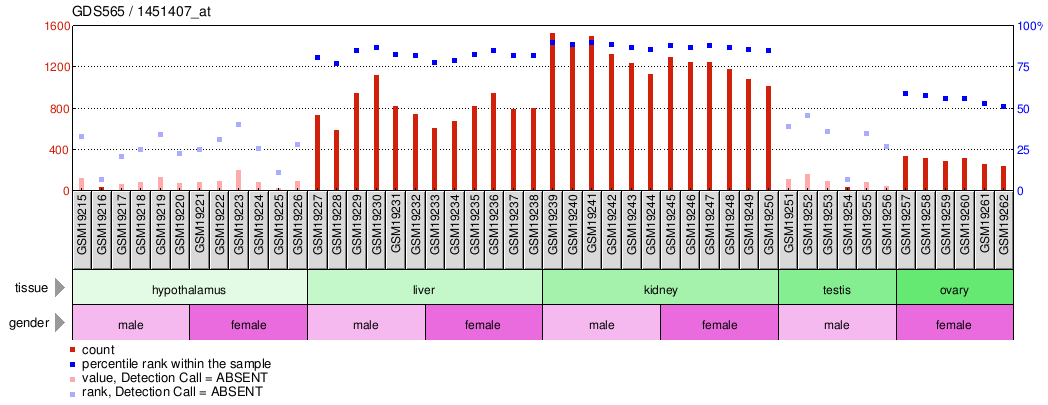 Gene Expression Profile