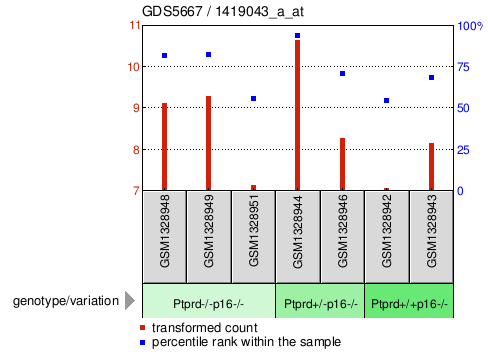 Gene Expression Profile