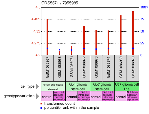 Gene Expression Profile