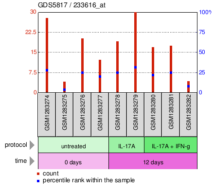 Gene Expression Profile