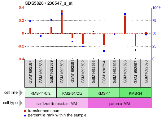 Gene Expression Profile