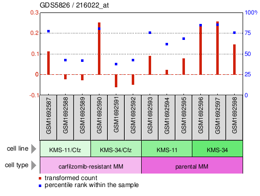 Gene Expression Profile