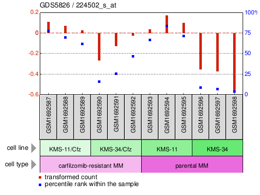 Gene Expression Profile