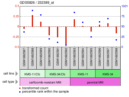 Gene Expression Profile