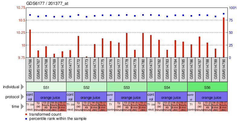 Gene Expression Profile