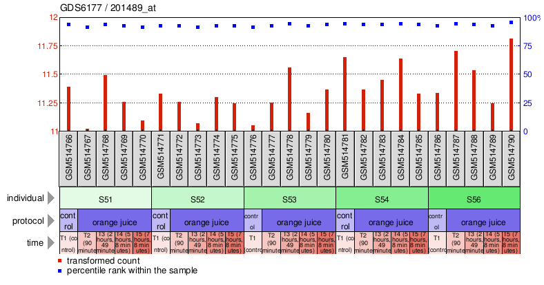 Gene Expression Profile