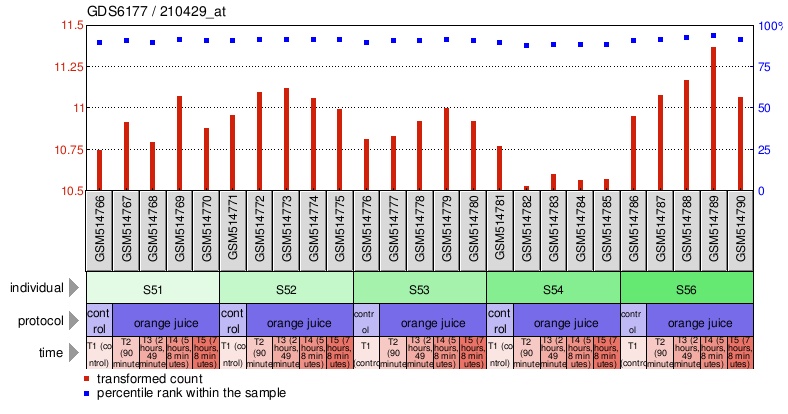 Gene Expression Profile