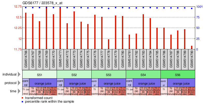 Gene Expression Profile