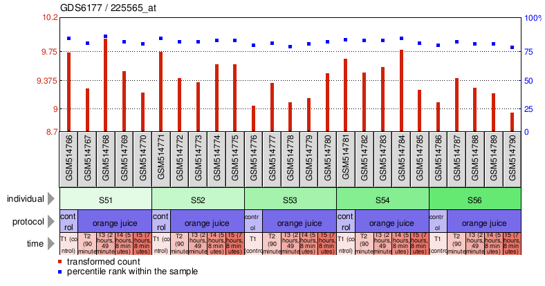 Gene Expression Profile