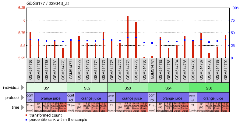 Gene Expression Profile