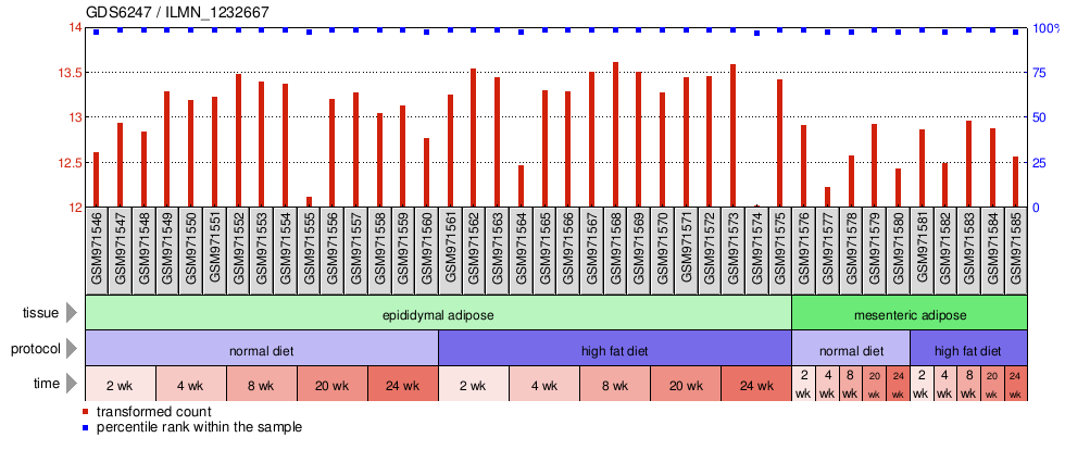 Gene Expression Profile