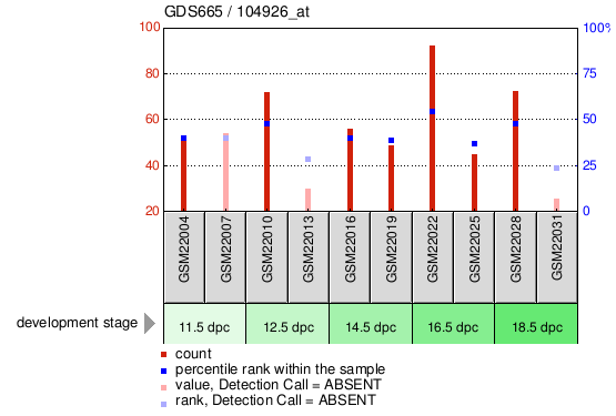 Gene Expression Profile