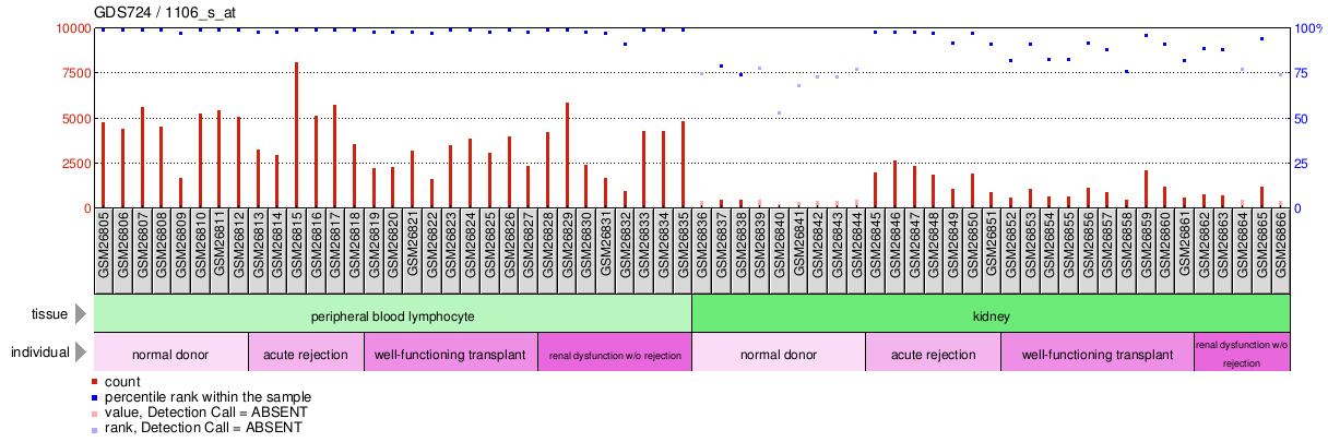 Gene Expression Profile