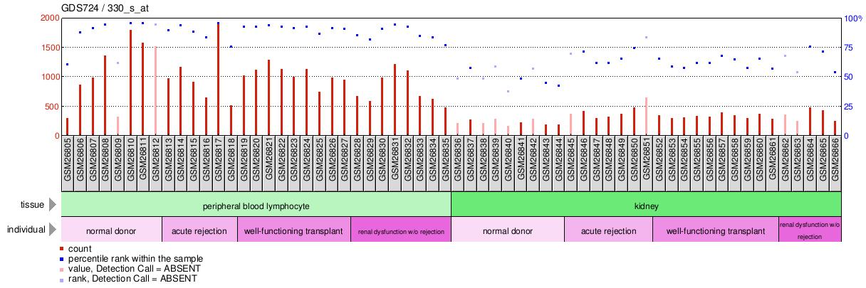 Gene Expression Profile