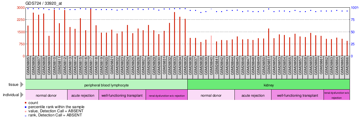 Gene Expression Profile