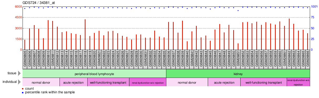 Gene Expression Profile