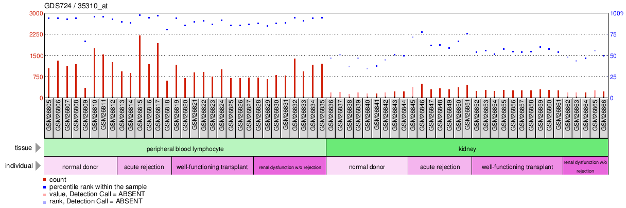 Gene Expression Profile