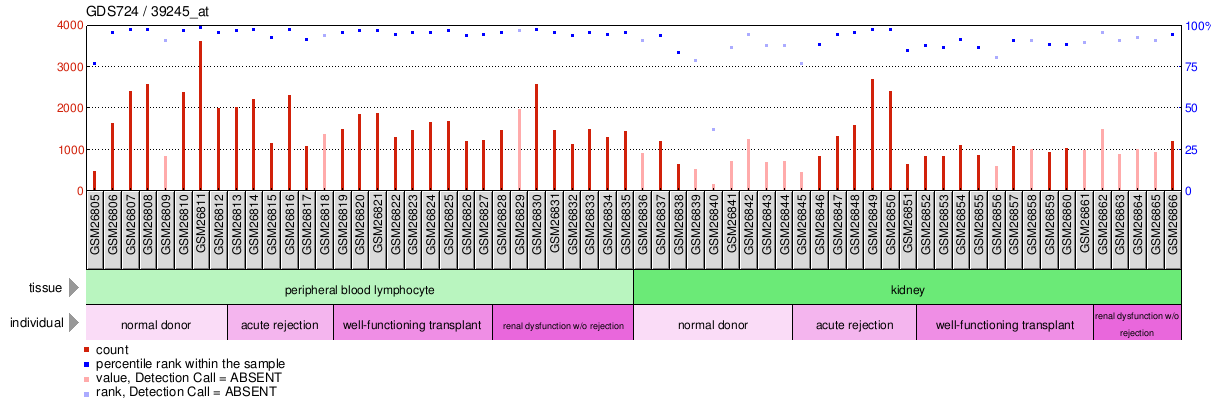 Gene Expression Profile