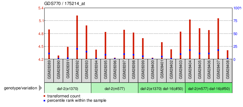 Gene Expression Profile