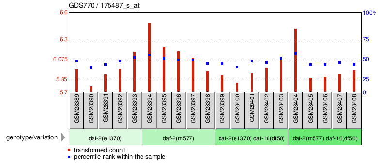 Gene Expression Profile