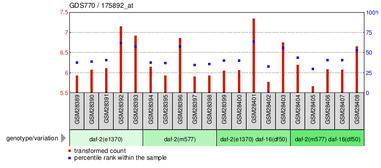 Gene Expression Profile