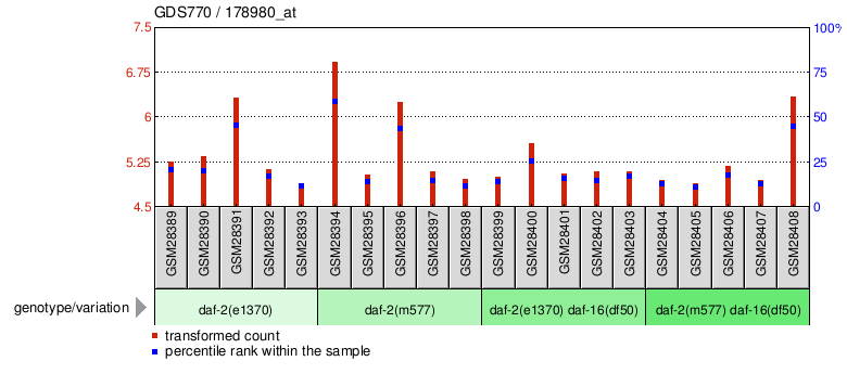 Gene Expression Profile