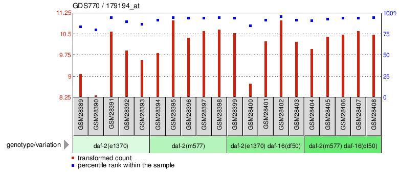 Gene Expression Profile