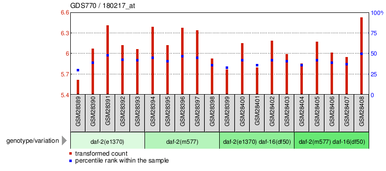 Gene Expression Profile