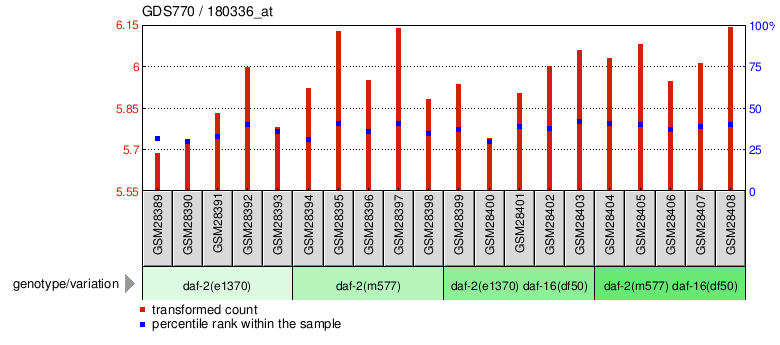 Gene Expression Profile