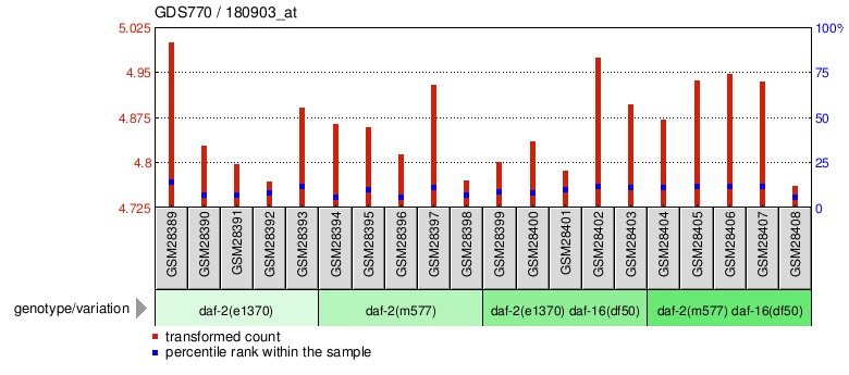 Gene Expression Profile