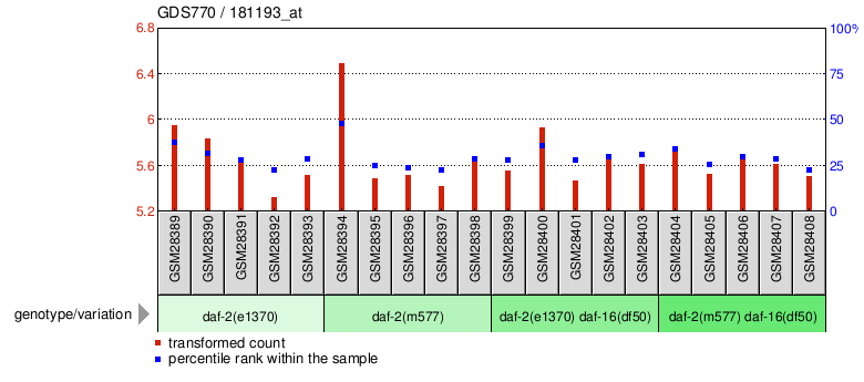 Gene Expression Profile