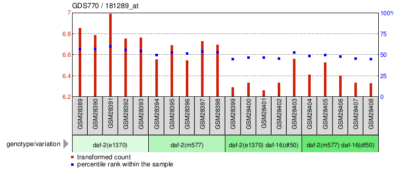 Gene Expression Profile