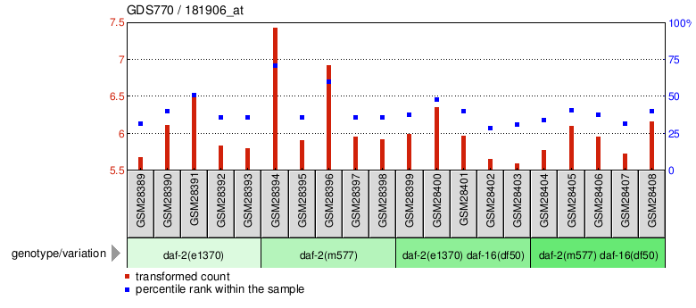 Gene Expression Profile