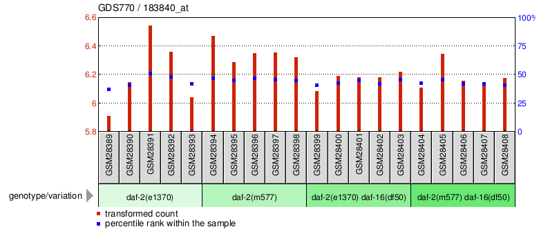 Gene Expression Profile