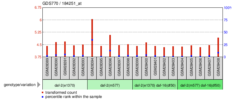 Gene Expression Profile