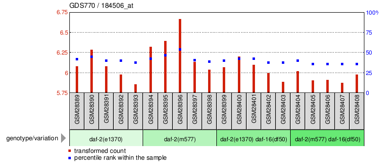 Gene Expression Profile