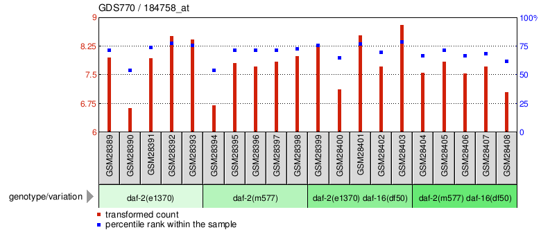 Gene Expression Profile