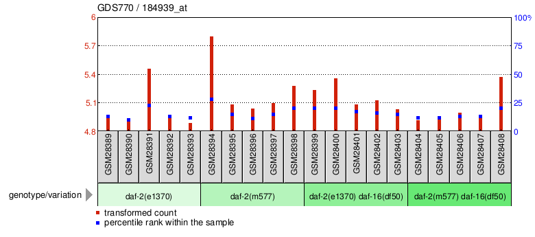 Gene Expression Profile