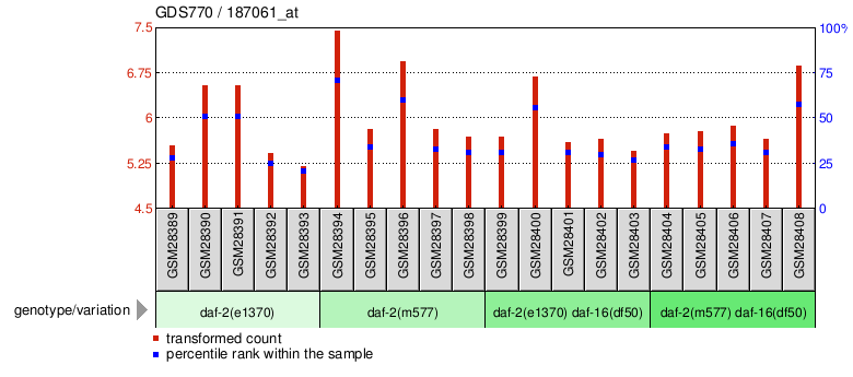 Gene Expression Profile