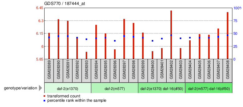 Gene Expression Profile