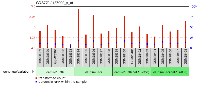 Gene Expression Profile