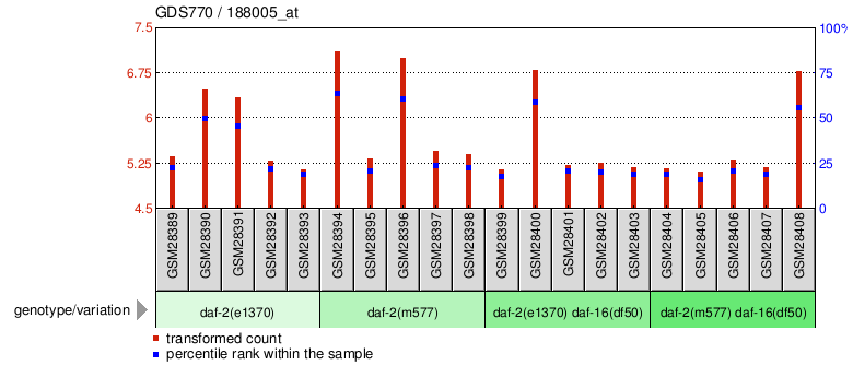 Gene Expression Profile