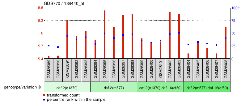 Gene Expression Profile