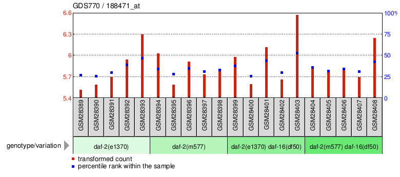 Gene Expression Profile