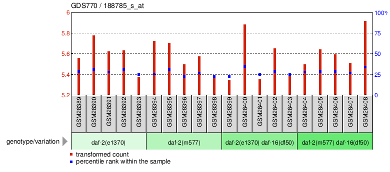 Gene Expression Profile