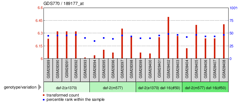 Gene Expression Profile