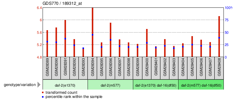 Gene Expression Profile