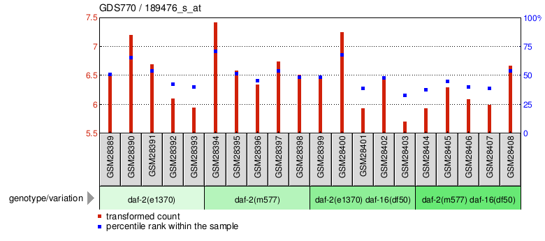 Gene Expression Profile